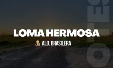 LOTEO LOMA HERMOSA - ALDEA BRASILERA