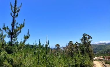 Sitio en Venta en Loteo Fundo Boyeruca