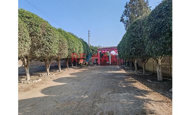 Se Vende Terreno Urbano En Cieneguilla