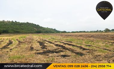 Quinta Hacienda de venta en Samborondon - La Delicia – código:20886