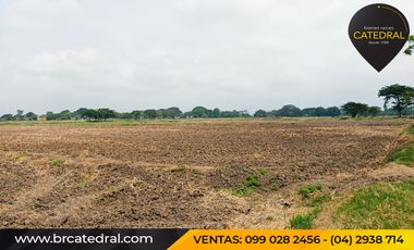 Quinta Hacienda de venta en Samborondon - La Delicia – código:20886