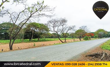 Quinta Hacienda de venta en Samborondon - La Delicia – código:20886