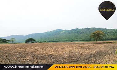 Quinta Hacienda de venta en Samborondon - La Delicia – código:20886