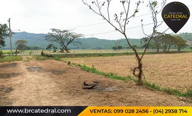 Quinta Hacienda de venta en Samborondon - La Delicia – código:20886