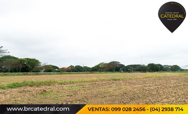 Quinta Hacienda de venta en Samborondon - La Delicia – código:20886