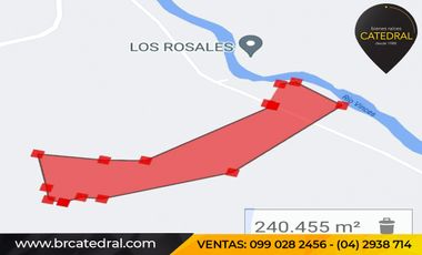 Quinta Hacienda de venta en Samborondon - La Delicia – código:20886