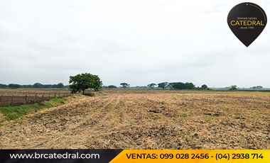 Quinta Hacienda de venta en Samborondon - La Delicia – código:20886