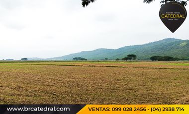 Quinta Hacienda de venta en Samborondon - La Delicia – código:20886