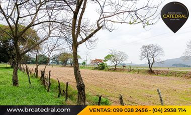 Quinta Hacienda de venta en Samborondon - La Delicia – código:20886