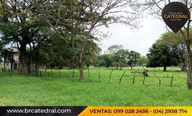 Quinta Hacienda de venta en Samborondon - La Delicia – código:20886