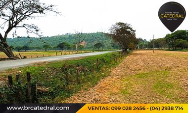 Quinta Hacienda de venta en Samborondon - La Delicia – código:20886