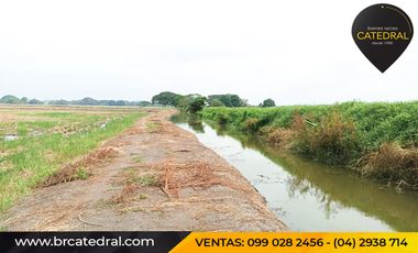 Quinta Hacienda de venta en Samborondon - La Delicia – código:20886