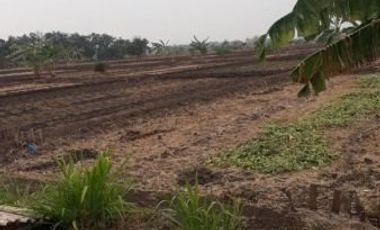 Tanah dijual di Jawa Timur, Gresik