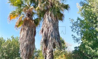 Casa en Venta en CONDOMINIO SANTA VIRGINIA.