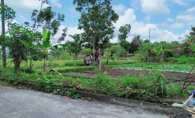 Rumah di Area Jalan Pandanaran, Super Murah