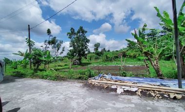 Rumah di Area Jalan Pandanaran, Super Murah