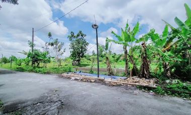Rumah di Area Jalan Pandanaran, Super Murah