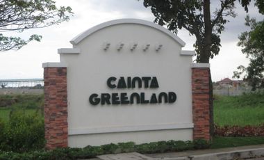CAINTA GREENLAND COMMERCIAL and RESIDENTIAL LOT FOR SALE