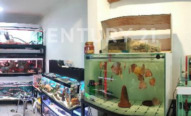 Rumah Untuk Keluarga Kecil Dekat Dengan Pusat Kuliner Di Glodok
