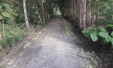 rumah dijual siap bangun dekat puncak saka banyuroto