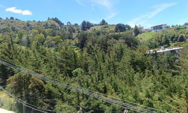 apartamento en arriendo en km 3 via la ceja don diego. Cod A213643