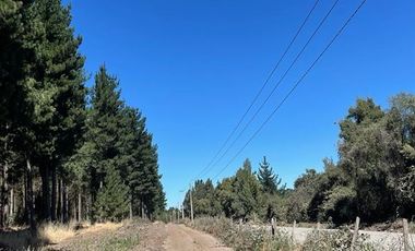 Agrícola en Venta en Ubicada al Sur Poniente de la ciudad de Los Angeles, a 5 km de Ruta 5 Sur.