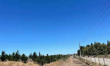 Agrícola en Venta en Ubicada al Sur Poniente de la ciudad de Los Angeles, a 5 km de Ruta 5 Sur.