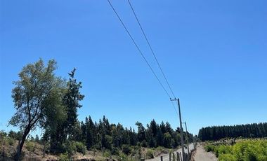 Agrícola en Venta en Ubicada al Sur Poniente de la ciudad de Los Angeles, a 5 km de Ruta 5 Sur.