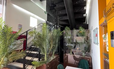 edificio en arriendo en maldonado. Cod A5062