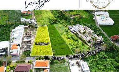 Tanah 1450m2 Jalan Utama Tumbak Bayuh Canggu