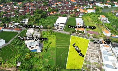 Tanah 1450m2 Jalan Utama Tumbak Bayuh Canggu