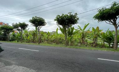 Tanah 1450m2 Jalan Utama Tumbak Bayuh Canggu