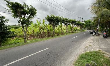 Tanah 1450m2 Jalan Utama Tumbak Bayuh Canggu