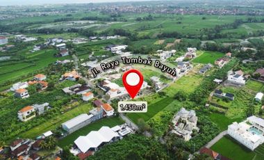 Tanah 1450m2 Jalan Utama Tumbak Bayuh Canggu