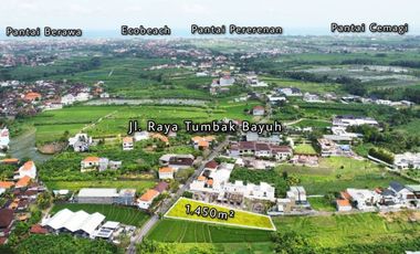 Tanah 1450m2 Jalan Utama Tumbak Bayuh Canggu