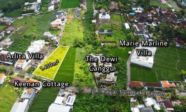 Tanah 1450m2 Jalan Utama Tumbak Bayuh Canggu