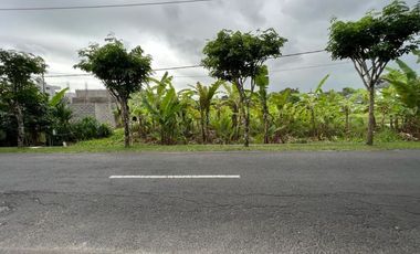 Tanah 1450m2 Jalan Utama Tumbak Bayuh Canggu