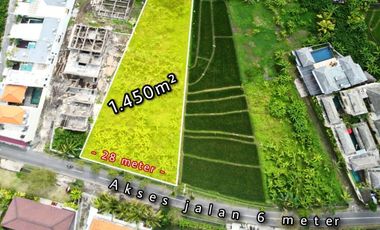 Tanah 1450m2 Jalan Utama Tumbak Bayuh Canggu