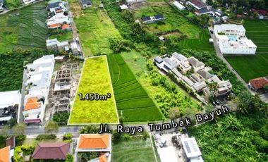 Tanah 1450m2 Jalan Utama Tumbak Bayuh Canggu