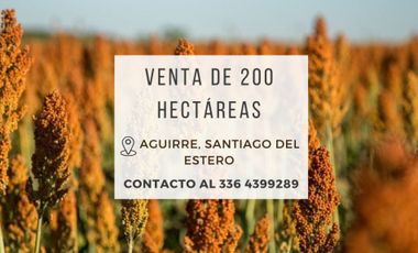 Campo de 200 Has en Aguirre (Santiago del Estero)