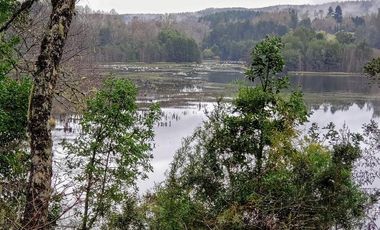 Parcela De 1ha Con 80m De Frente A Río Cayumapu, Valdivia