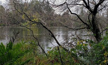 Parcela De 1ha Con 80m De Frente A Río Cayumapu, Valdivia