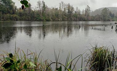 Parcela De 1ha Con 80m De Frente A Río Cayumapu, Valdivia