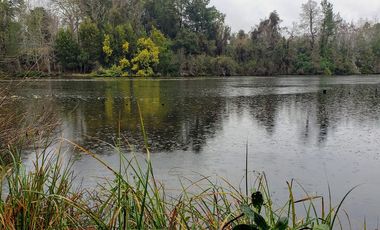 Parcela De 1ha Con 80m De Frente A Río Cayumapu, Valdivia