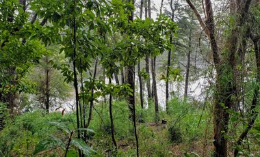 Parcela De 1ha Con 80m De Frente A Río Cayumapu, Valdivia