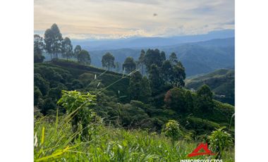 Finca ganadera de 28 cuadras en Marsella