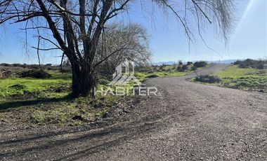 Parcela en Venta en Pangue Abajo