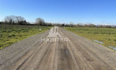 Parcela en Venta en Pangue Abajo