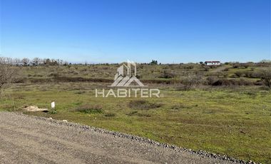 Parcela en Venta en Pangue Abajo