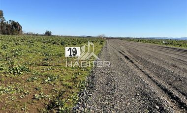 Parcela en Venta en Pangue Abajo